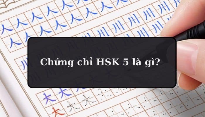 Chứng chỉ HSK 5 là gì? Làm thế nào để đạt được điểm cao?