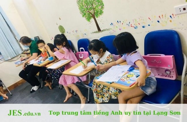 Trung tâm Organic English Lạng Sơn giảng dạy nhiều khóa học